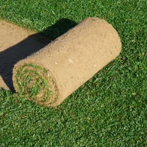 Rolo de Relva Natural (1m2)